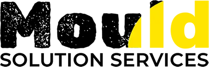 Mould Solution Services